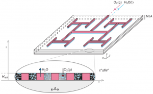 We will now optimize access of gas through the microporous layer, see Kjelstrup et al. Energy and Fuels 24 (2010) 5097.