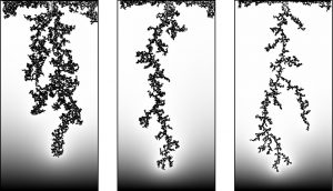 Viscous fingering: Glycerol is displaced by air in a model of a porous medium. The gray tones in glycerol indicates the pressure. Models of porous media represent sandstone filled with oil that are being displaced by sea water during oil extraction under the sea bed. Viscous fingering: Glycerol is displaced by air in a model of a porous medium. The gray tones in glycerol indicates the pressure. Models of porous media represent sandstone filled with oil that are being displaced by sea water during oil extraction under the sea bed.